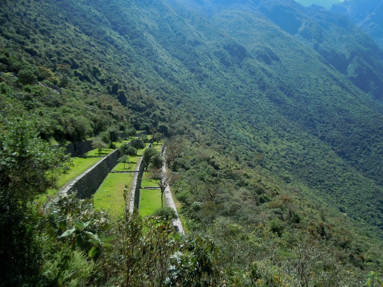 meer terrassen, nauwelijks gewonnen uit de oprukkende jungle bij Choquequirao, Peru. 